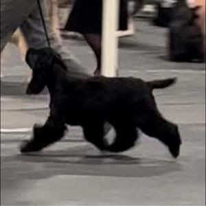 Meet your Posher, Christine